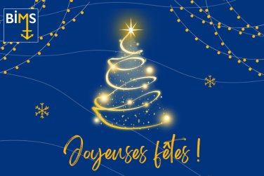 BIMS vous souhaite de joyeuses fêtes et des démarches douanières sereines !